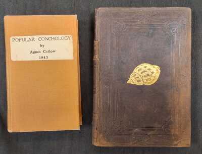 ANTIQUARIAN CONCHOLOGY