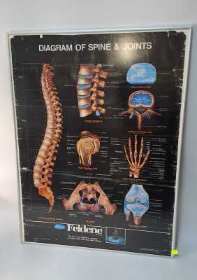 MEDICAL PRINT