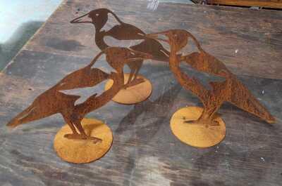 MAGPIES