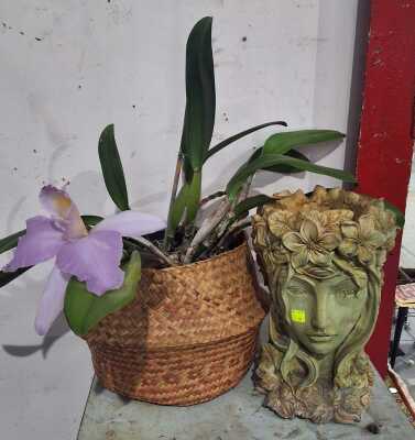 DECOR LOT