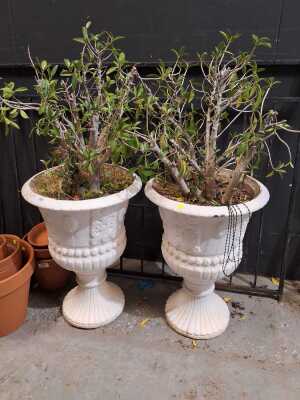 CONCRETE URNS