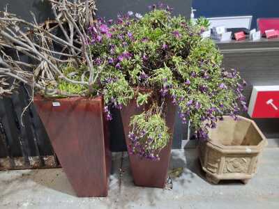PLANT POTS