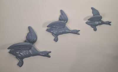 WALL BIRDS