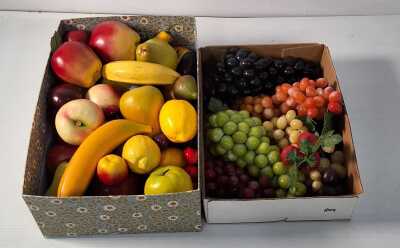 FAUX FRUITS