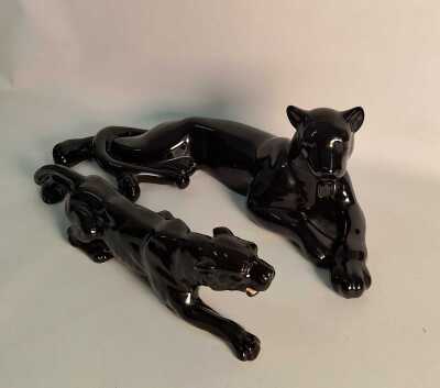 PANTHERS