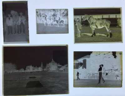 GLASS PLATE NEGATIVES