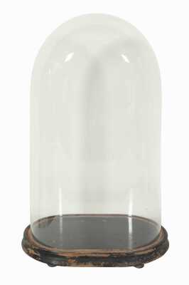 GLASS DISPLAY DOME