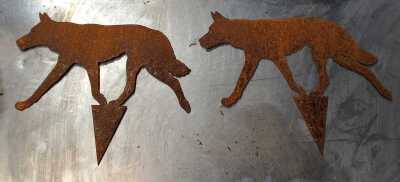DINGOES