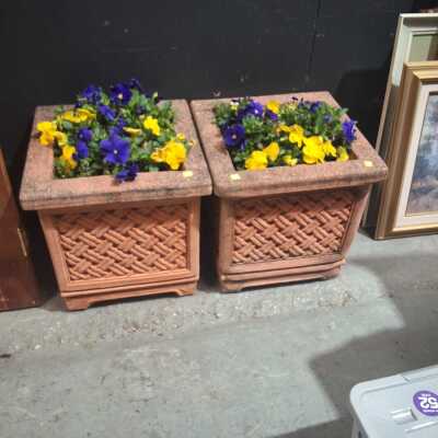 POTTED PLANTS