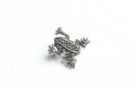 FROG BROOCH