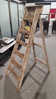 TIMBER LADDER