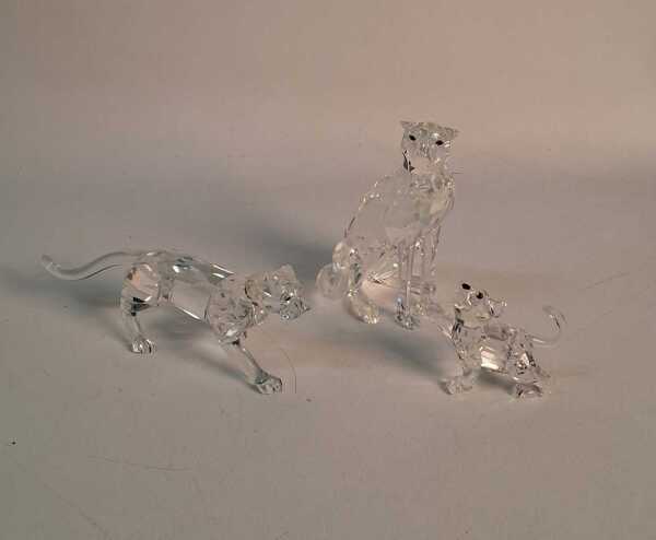 SWAROVSKI CHEETAHS