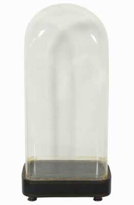 GLASS DISPLAY DOME