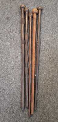 WALKING STICKS