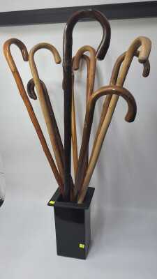 WALKING STICKS