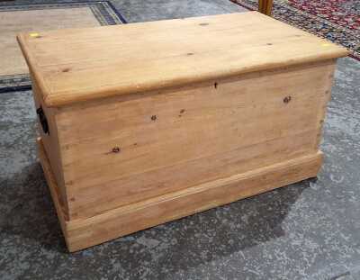 PINE TRUNK