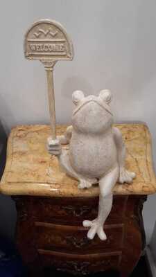 WELCOME FROG