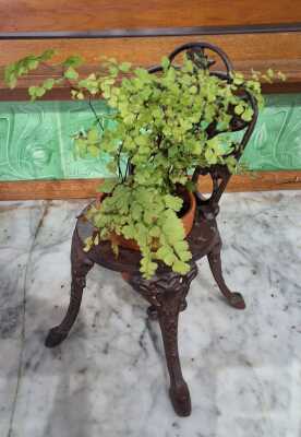 PLANTER POT
