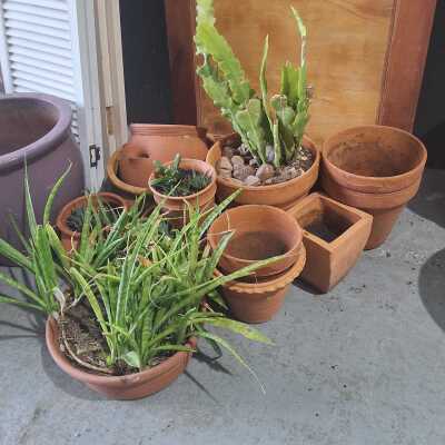 TERRACOTTA POTS