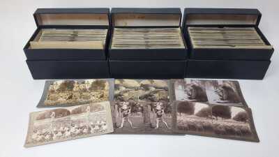 STEREOGRAPH CARDS