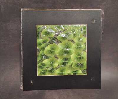 SUZHOU SILK