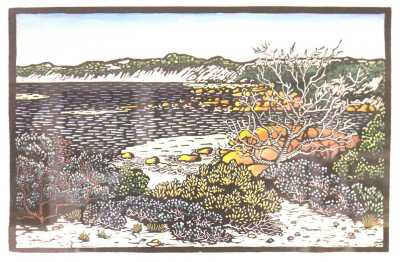 CHRISTINE MCCARTHY (Australia, 1952-.)
