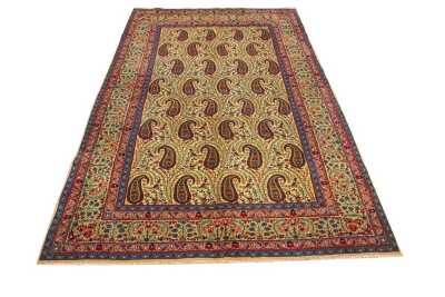 MOUD RUG