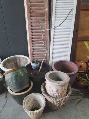 PLANT POTS