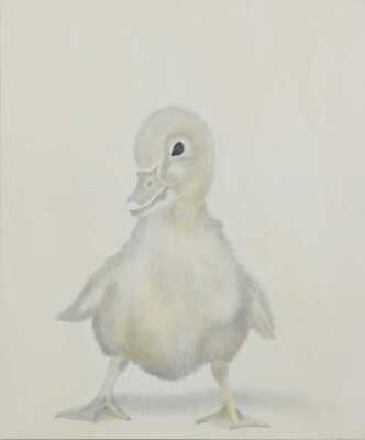 HELEN RUTH WRIGHT (Australia, 1956- )