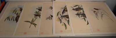 JOHN GOULD PRINTS