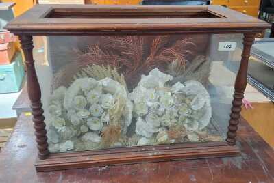 CORAL DISPLAY