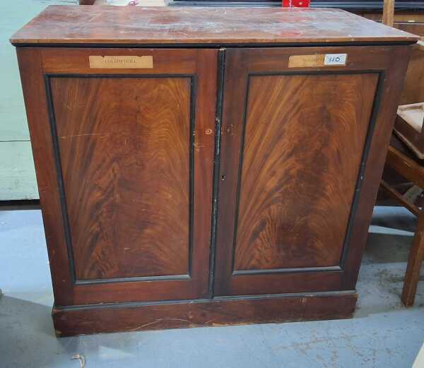 SPECIMEN CABINET