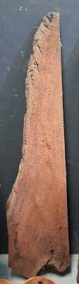 GUM PLANK