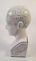 PHRENOLOGY HEAD - 2