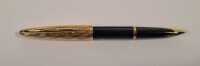 FOUNTAIN PEN - 2