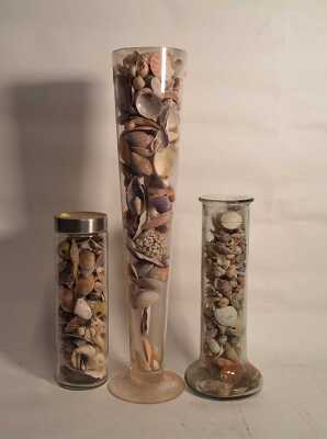 SHELL BOTTLES