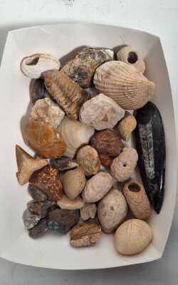 PREHISTORIC LOT