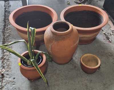 PLANT POTS