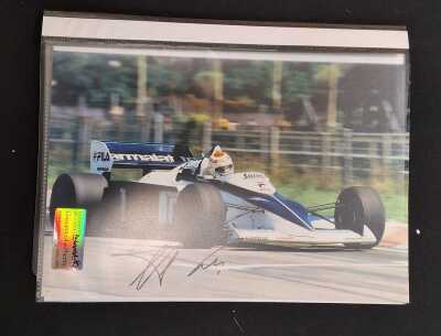 FORMULA 1 RACING: