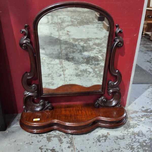 TOILET MIRROR