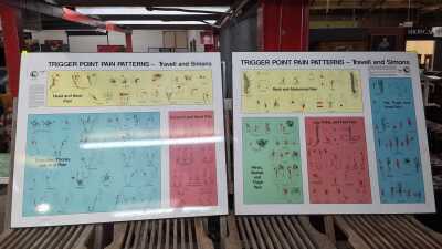 MEDICAL CHARTS