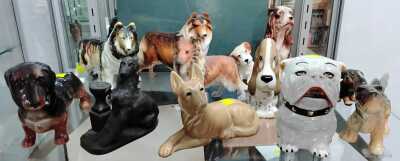 DOGS