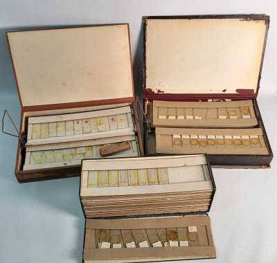 MICROSCOPE SPECIMEN SLIDES