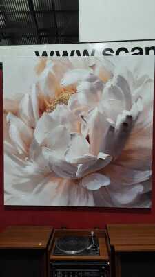 WALL DECOR