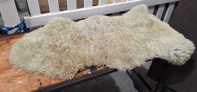 SHEEP SKIN