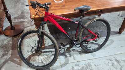 MOUNTAIN BIKE
