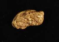 GOLD NUGGET