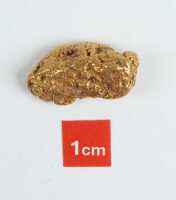 GOLD NUGGET - 2