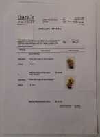 GOLD NUGGET - 3