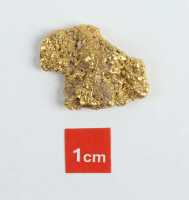 GOLD NUGGET - 2